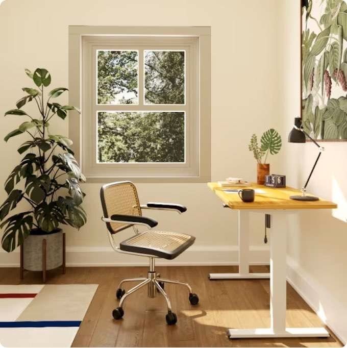 Best Standing Desk under $300 Electric Height Adjustable Desk