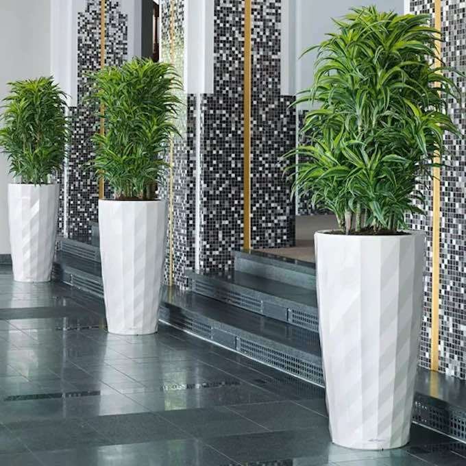 Lechuza Self Watering Planter for front porch