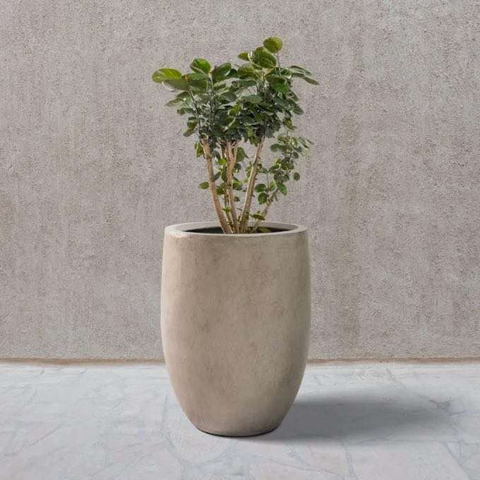 Weathered Concrete Tall Planter for Front Porch